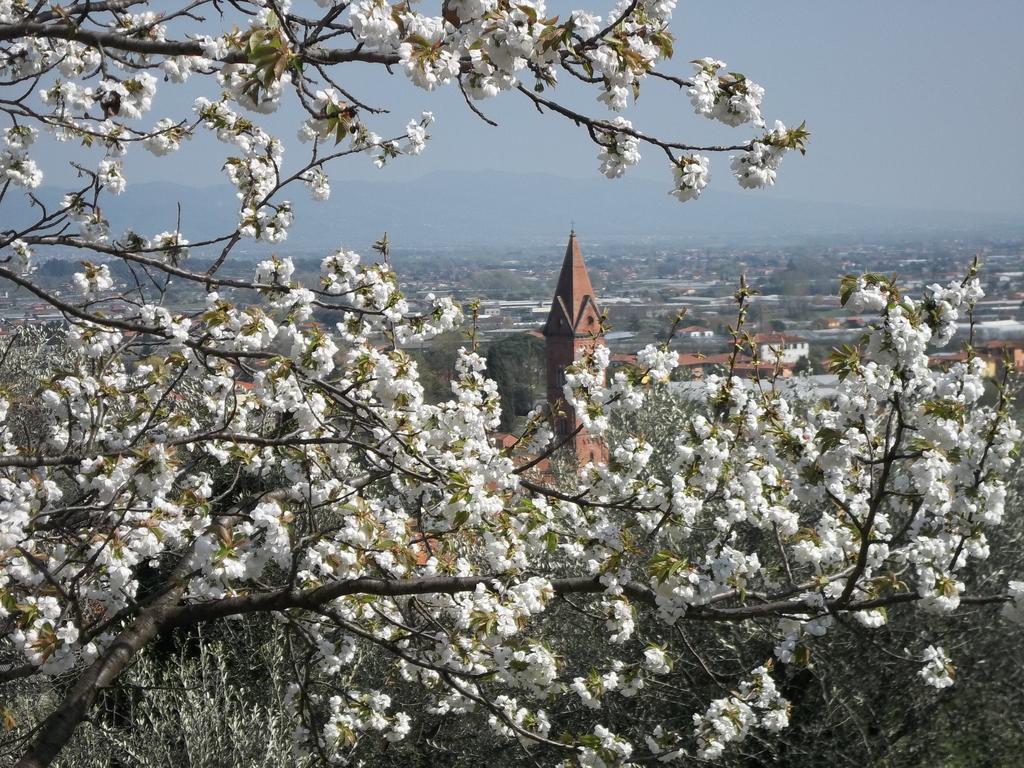 Il Campano Apartment Collodi