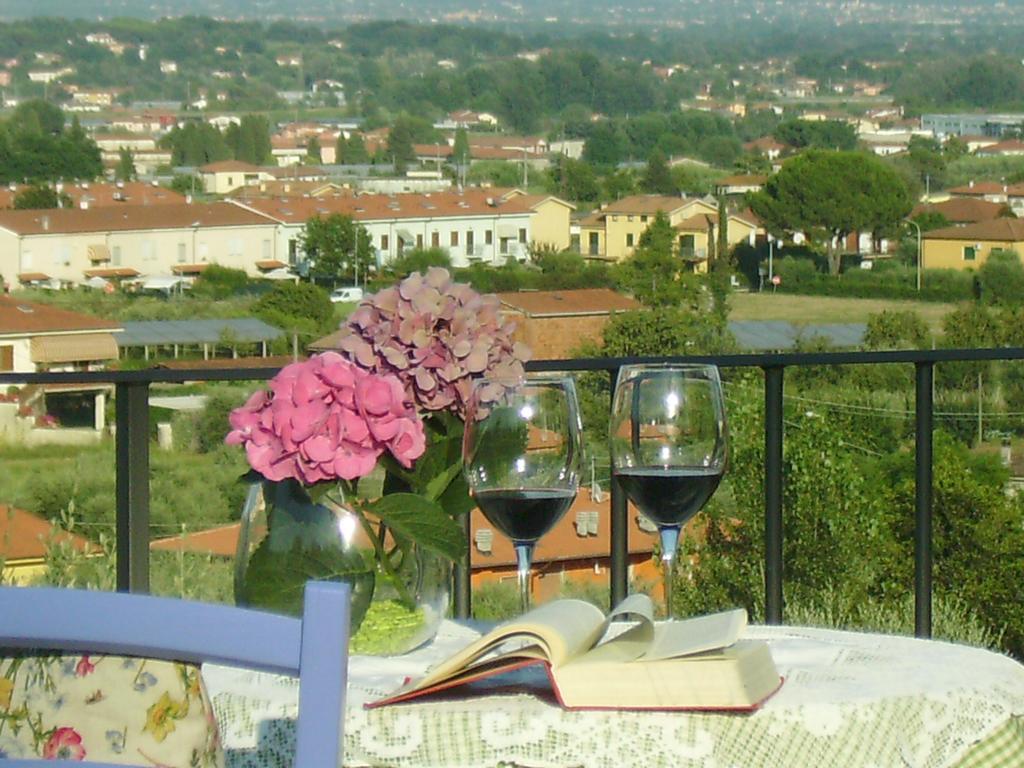 Il Campano Apartment Collodi