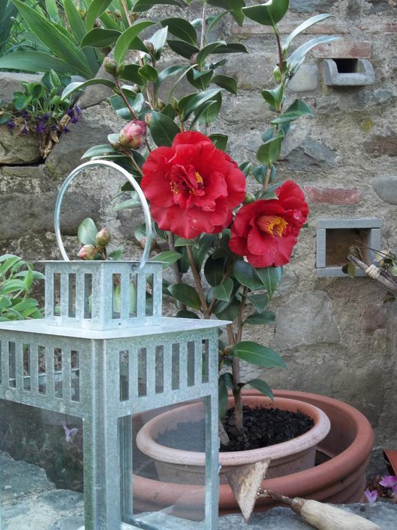 Il Campano Apartment *