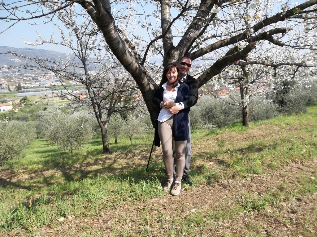 Il Campano Apartment Collodi