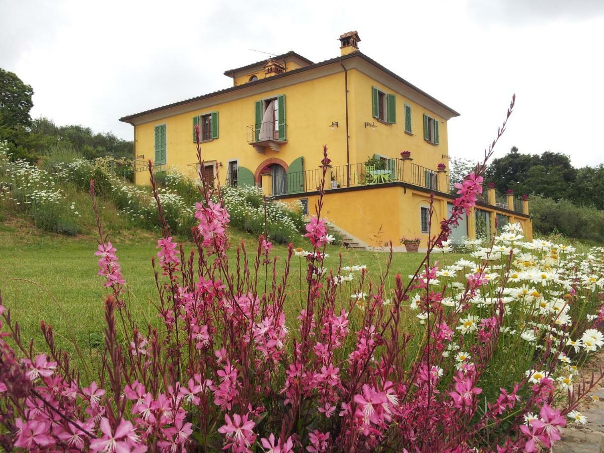 Il Campano Apartment Collodi